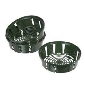 Hagymakosár begyökerező 21cm