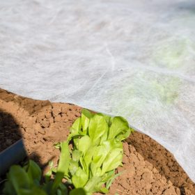 Fátyolfólia 2.4×10m 18g/m2